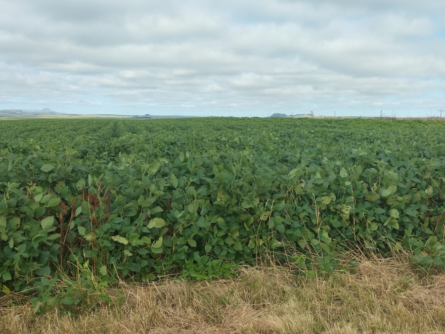 4 Bedroom Property for Sale in Bethlehem Rural Free State